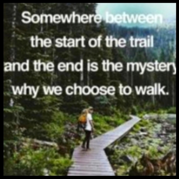 ☝🏻Costa Rica Graphic Frog Tie Dye Tee Shirt  Sz M - Picture 10 of 12